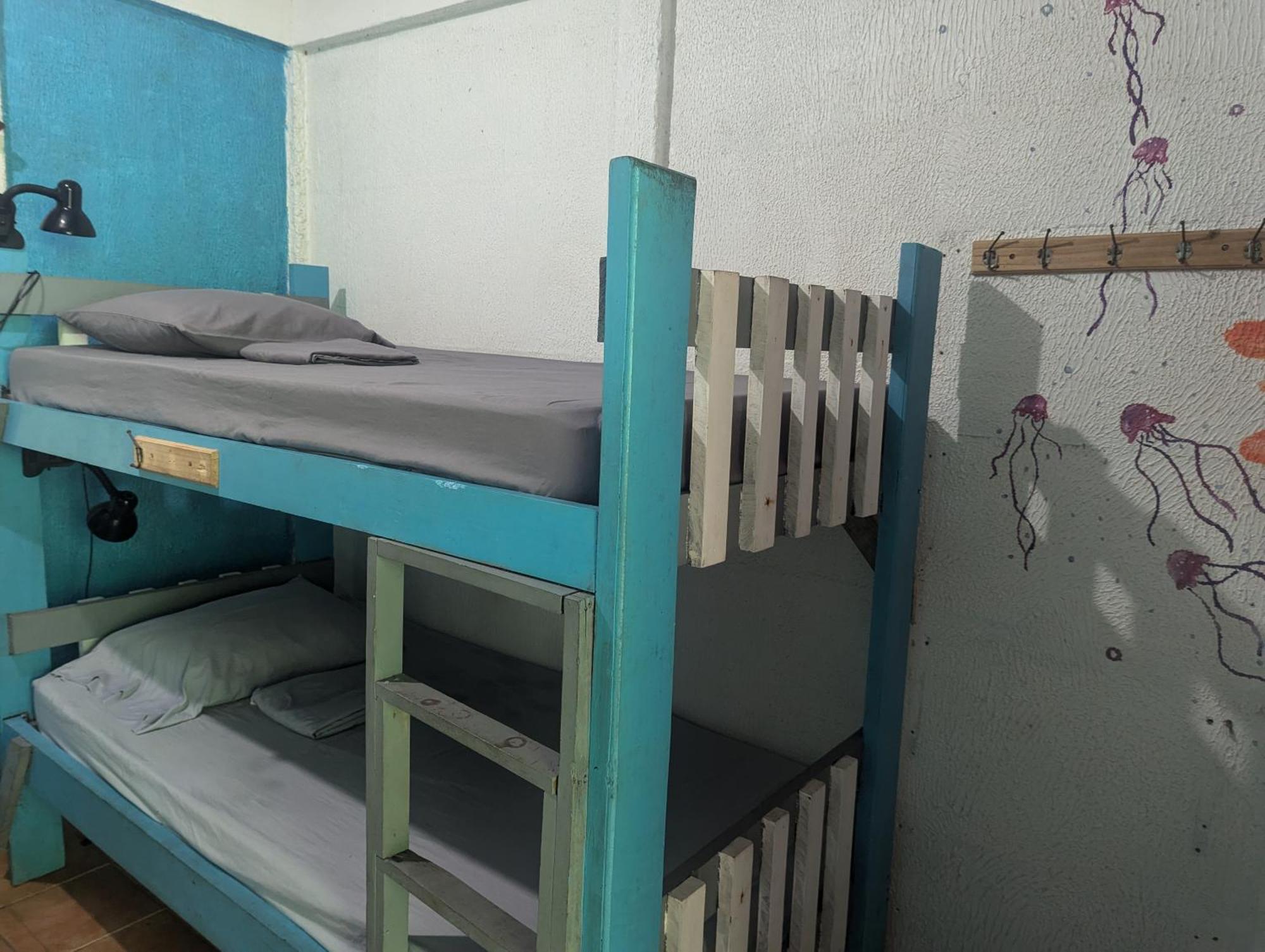 Tasty Dayz Hostel Puerto Viejo de Talamanca Экстерьер фото