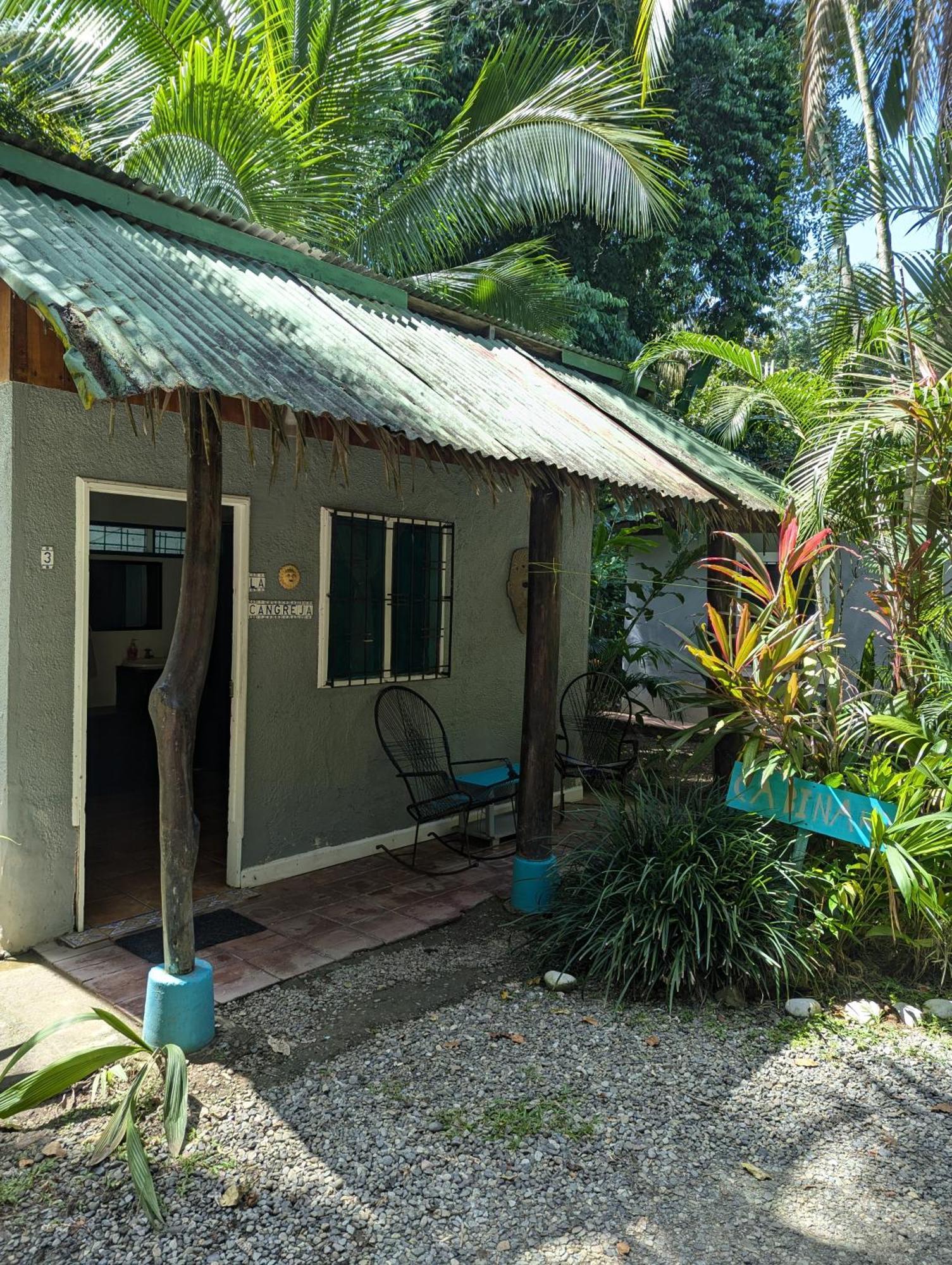Tasty Dayz Hostel Puerto Viejo de Talamanca Экстерьер фото