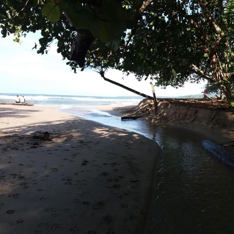 Tasty Dayz Hostel Puerto Viejo de Talamanca Экстерьер фото