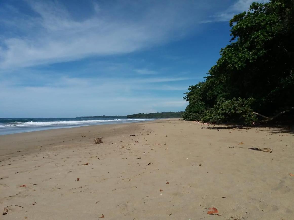 Tasty Dayz Hostel Puerto Viejo de Talamanca Экстерьер фото