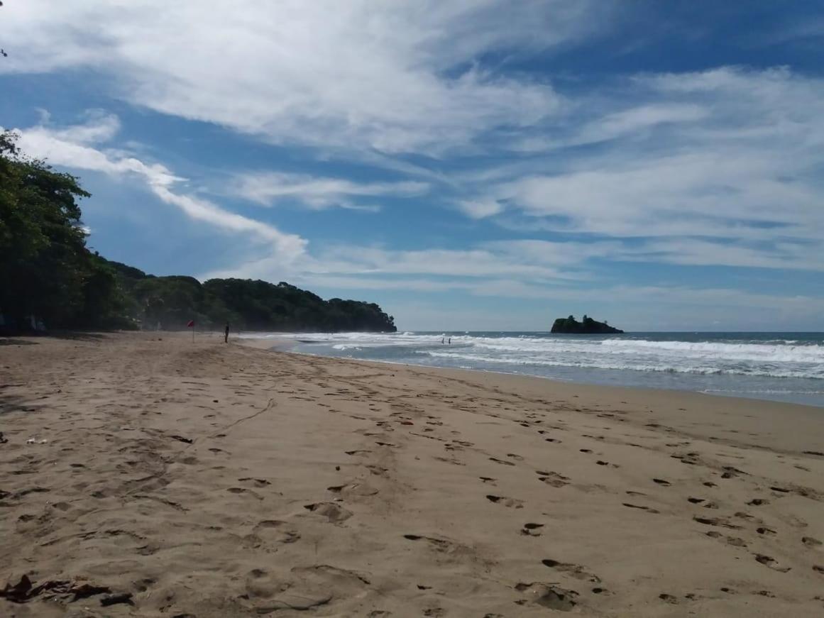 Tasty Dayz Hostel Puerto Viejo de Talamanca Экстерьер фото
