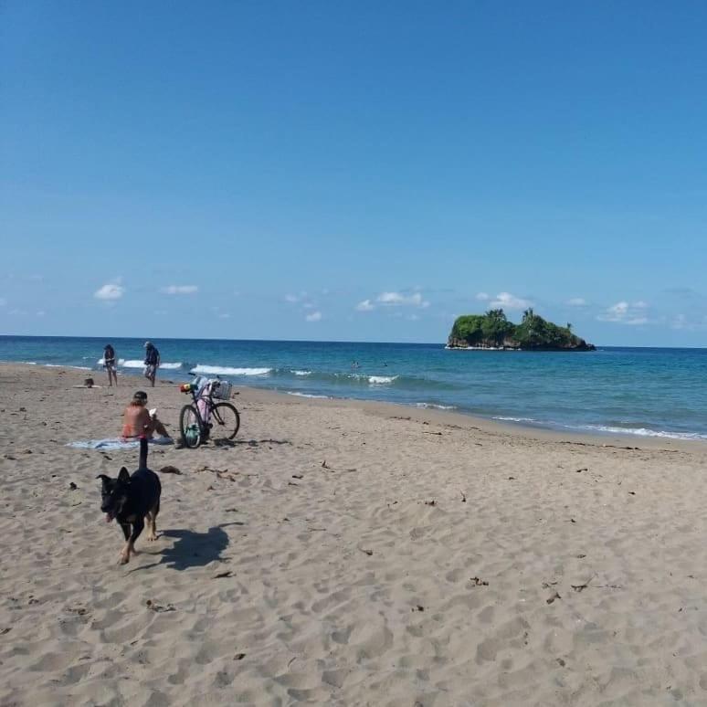 Tasty Dayz Hostel Puerto Viejo de Talamanca Экстерьер фото