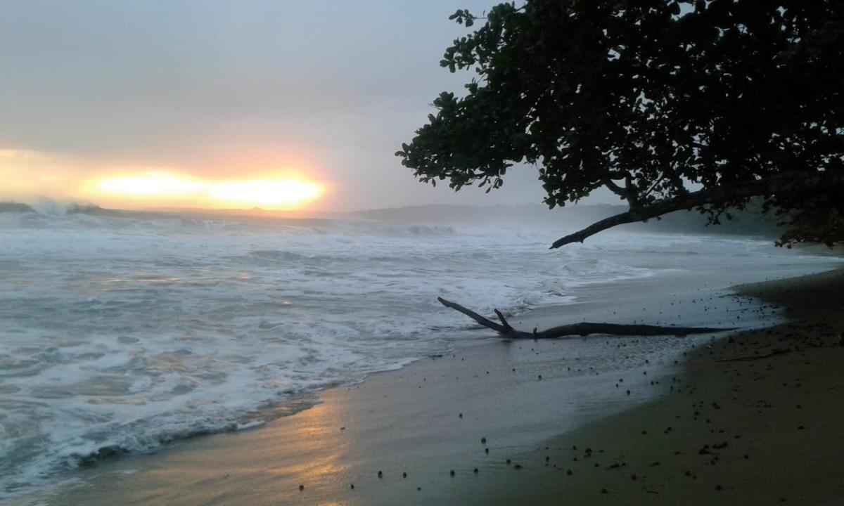 Tasty Dayz Hostel Puerto Viejo de Talamanca Экстерьер фото