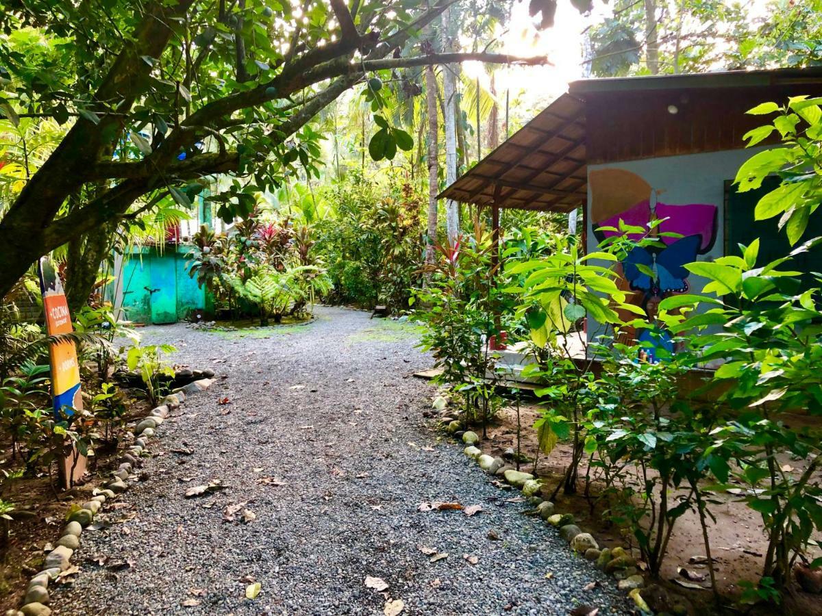 Tasty Dayz Hostel Puerto Viejo de Talamanca Экстерьер фото