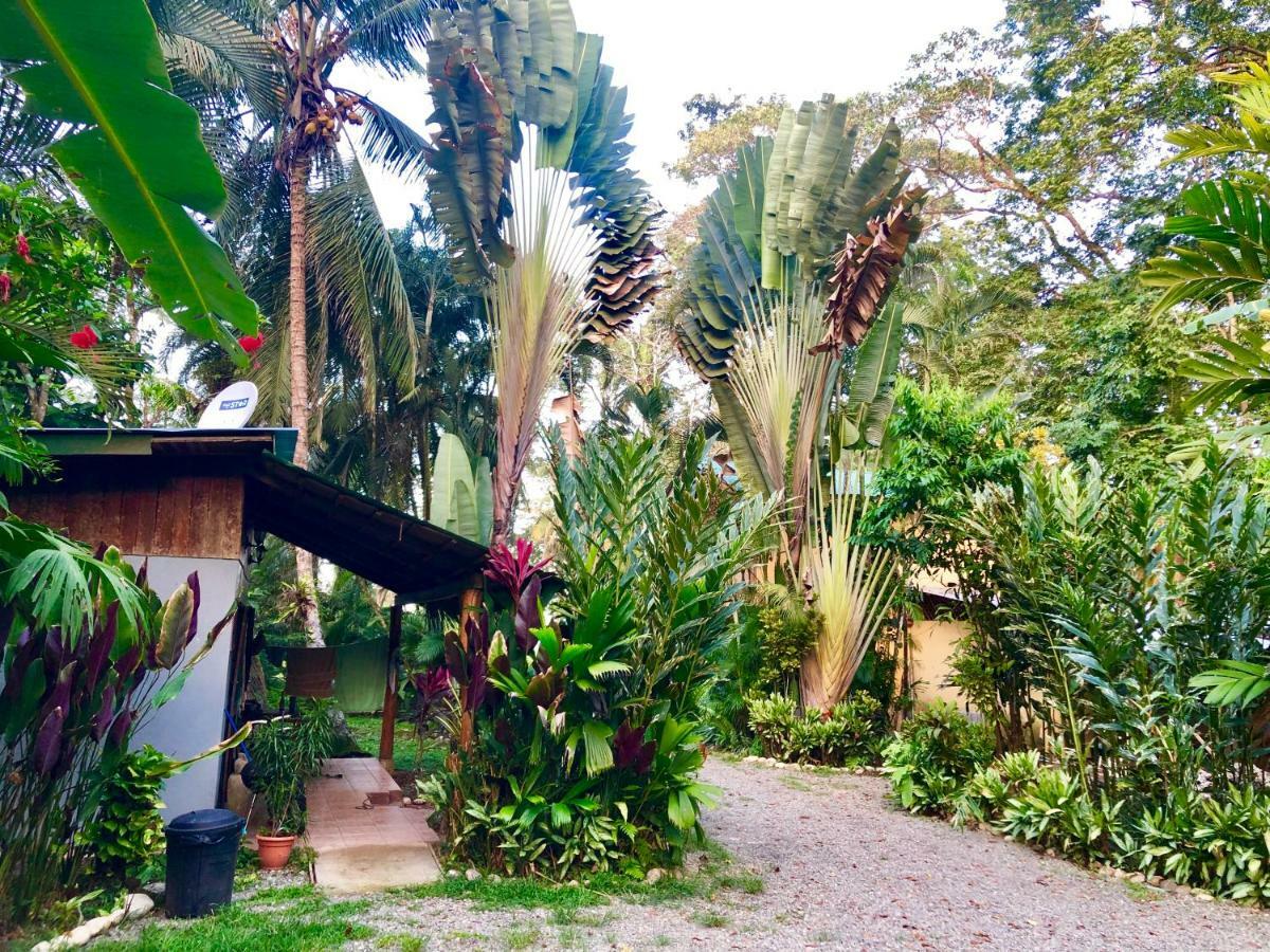 Tasty Dayz Hostel Puerto Viejo de Talamanca Экстерьер фото