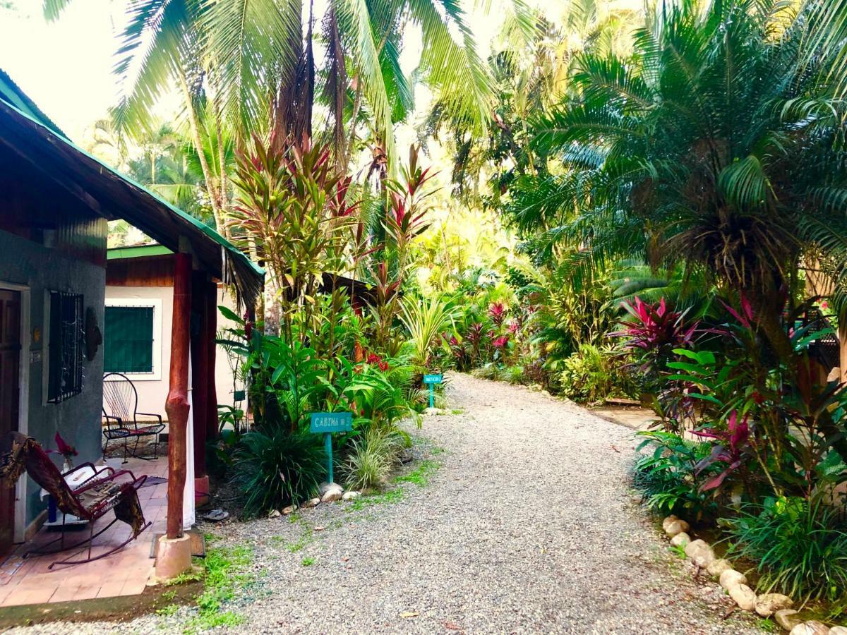 Tasty Dayz Hostel Puerto Viejo de Talamanca Экстерьер фото