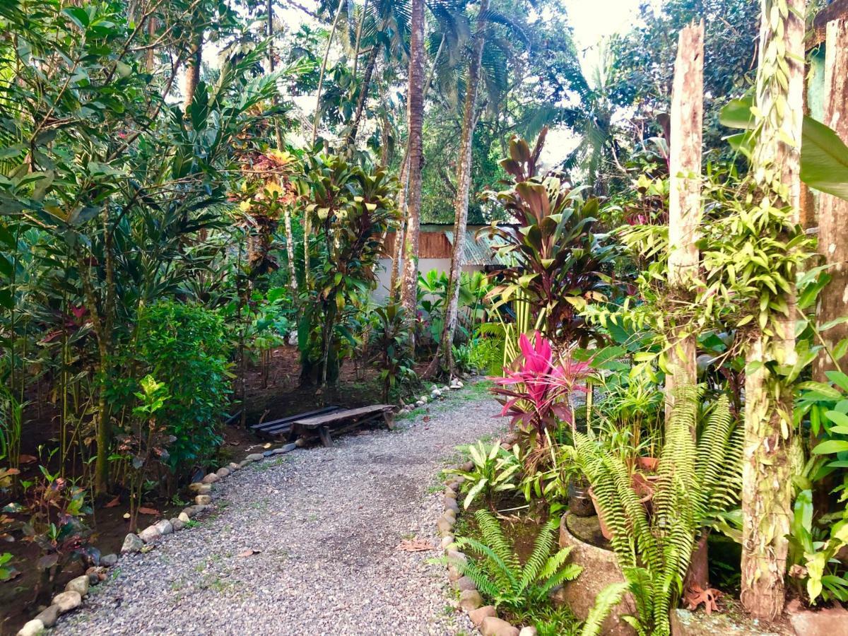 Tasty Dayz Hostel Puerto Viejo de Talamanca Экстерьер фото